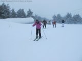 My Gallery (29/109)